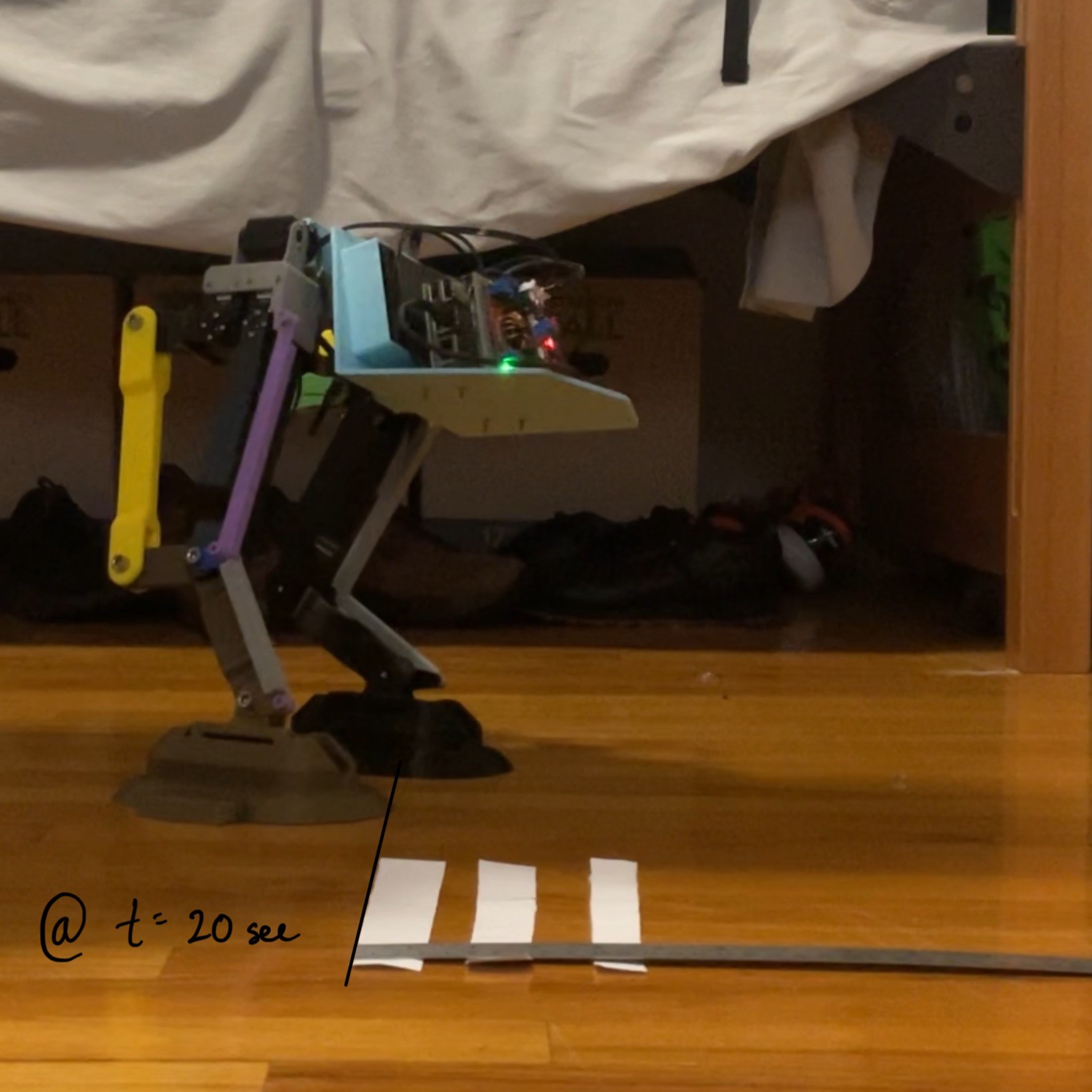 Last Frame of the Gait Performance Video